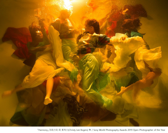 '2019 소니 월드 포토그래피 어워드' 공개 경쟁부문에서 올해의 사진작가상을 수상한 크리스티 리 로저스(Christy Lee Rogers)의 작품 'Harmony'. <소니코리아 제공>